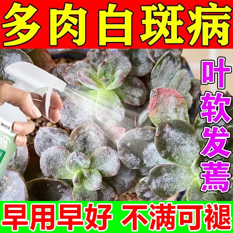 多肉白斑病杀虫菌专用蚧介壳粉必烂根黑腐多菌灵植物月季 5瓶装 京东折扣/优惠券