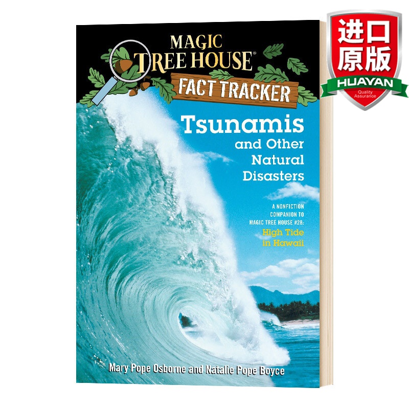 tsunamis and other natural disasters mthft#15 英