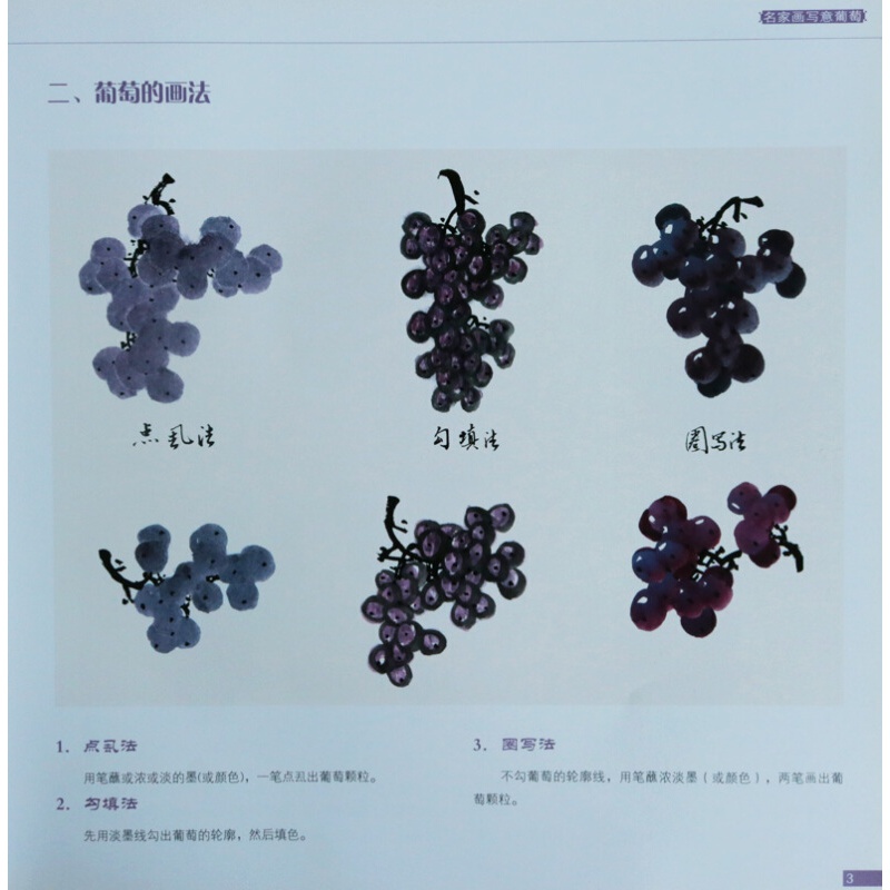中国画技法丛书  名家画写意葡萄 绘画国画工笔画入门素材 叶子藤蔓