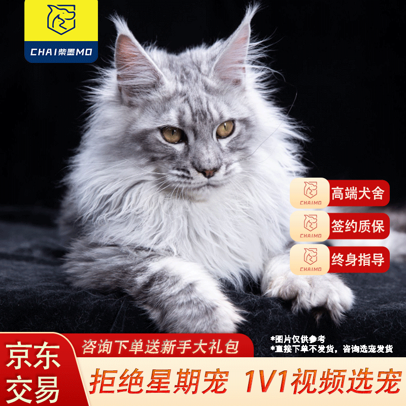 JD猫咪活体价格走势|猫咪活体价格走势图