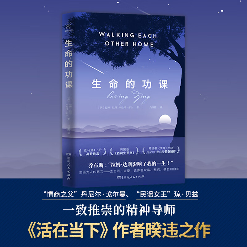 生命的功课 拉姆达斯著 媲美 西藏生死书 重塑心灵世界的人生启示录 现代人安顿心灵的智慧书 生而为人的意义 生活 湖南人民出版社