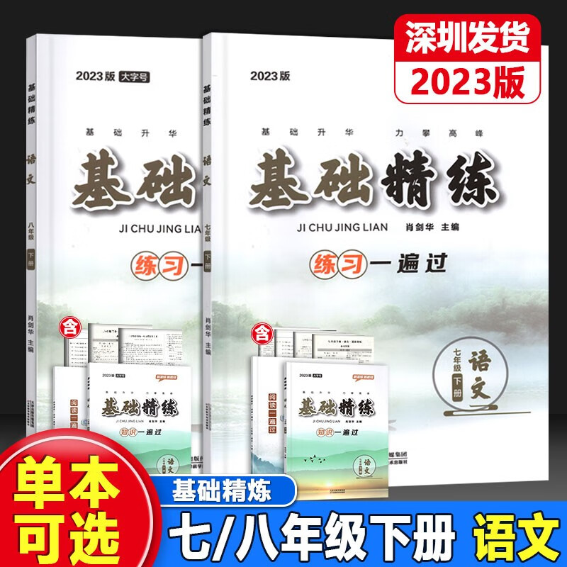 2023年新版版基础精练语文八年级下册深圳专版 初中8年级下册语文考点集训专项强化训练