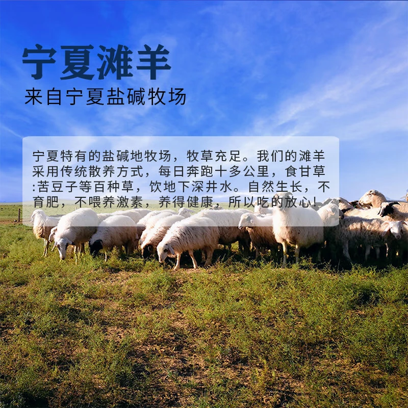 午羊 宁夏滩羊肉 生鲜纯手工羊肉串 原切新鲜羔羊后腿肉撸串烧烤食材 【店长推荐】法式羊排12支