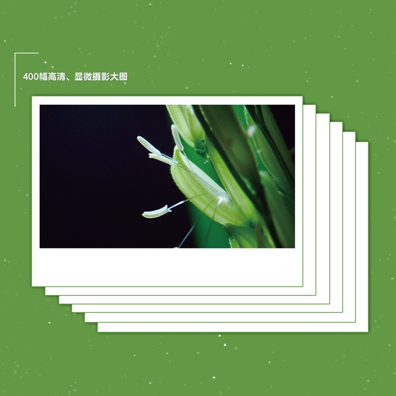 影响世界的中国植物（纪录片同名科普图文版，董卿、周国平、曾孝濂、王石联袂推荐）