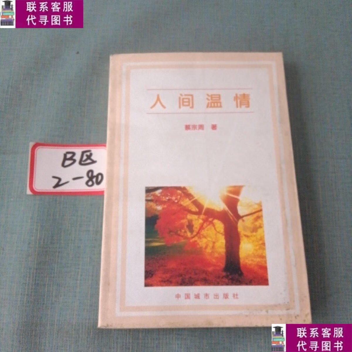 【二手9成新】人间温情 /蔡宗周 中国城市出版社