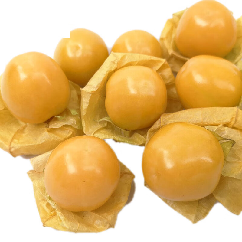 东北菇娘果应季新鲜水果当季姑娘果灯笼果特产整箱1斤装谷鸟