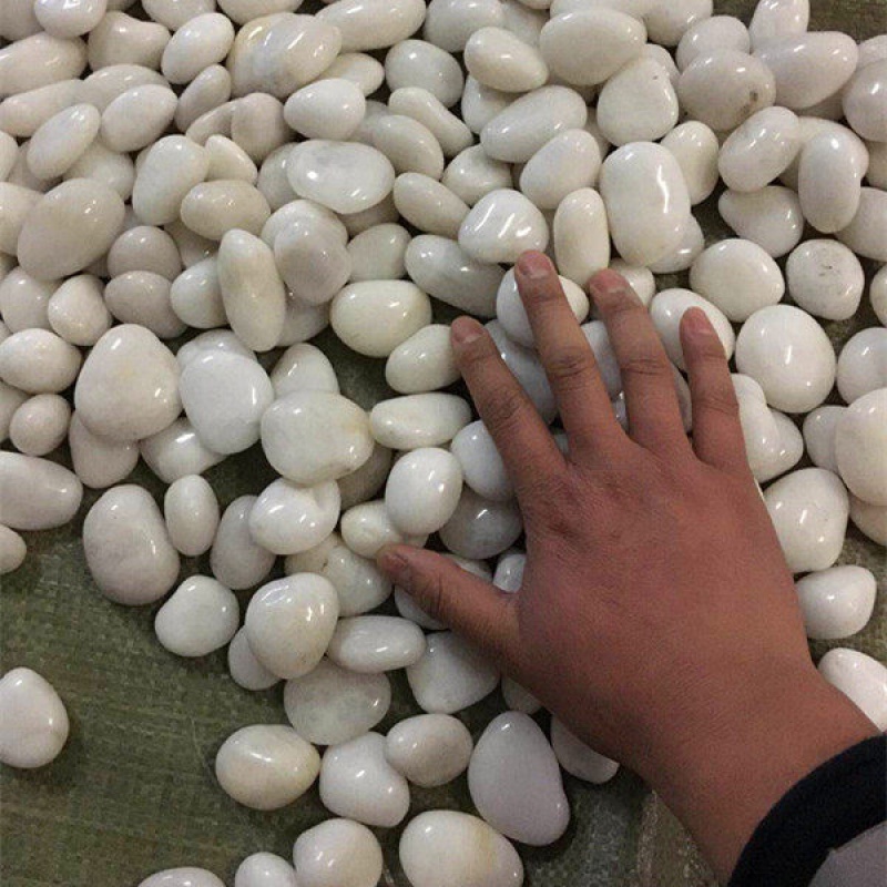 锦语白色鹅卵石鱼缸园林造景卵石5斤 白3-4