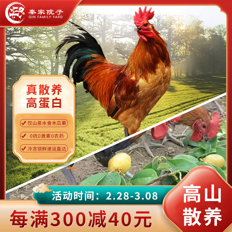 秦家院子土鸡高山跑步鸡280天散养大公鸡正宗生态鸡生鲜鸡肉无激素1.75kg