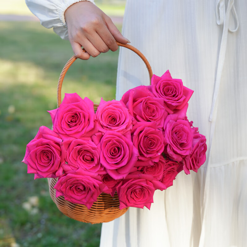 �����ʻ���������õ�廨10֦ɽ��������Ů��������֦��50-55cmԴͷֱ��