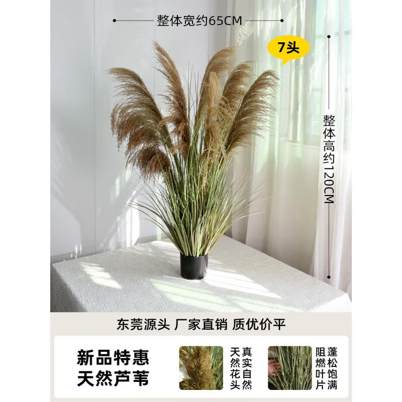 柒閱芒仿真綠植高端輕奢落地造景擺件天然蘆葦干花草假花植物盆栽店面家 0cm 1.2米鐵桿蘆葦盆栽 真花頭