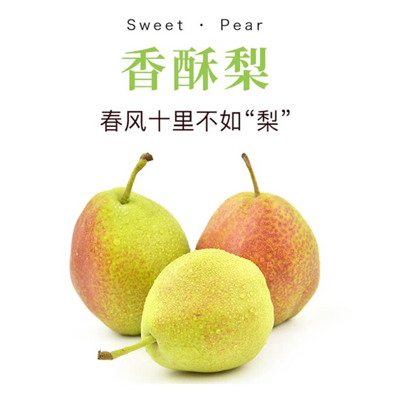 PAGODA百果园 山西红香酥梨新鲜现摘水果整箱4.5-8.5斤装梨子 红香酥梨24个约8.5-9斤
