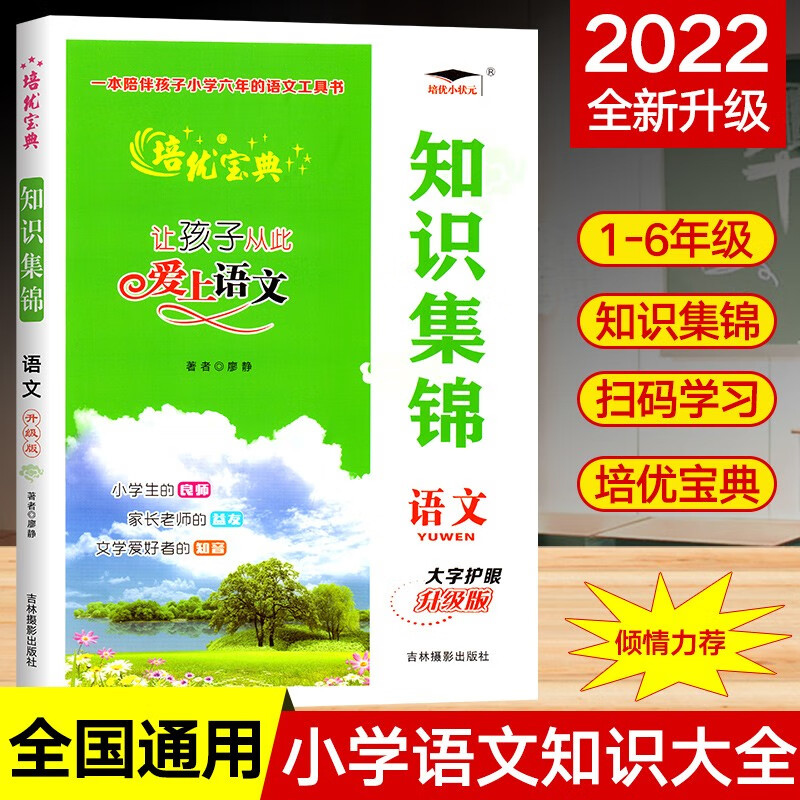 大字升级版 培优宝典知识集锦语文 升级版 小学教辅资料知识大全 让孩子从此爱上语文 毕业总复习