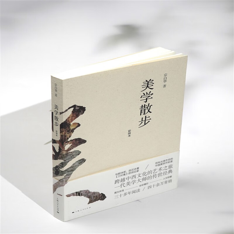 官方正版 美学散步彩图本 一代美学大师宗白华著作融贯中西艺术理论