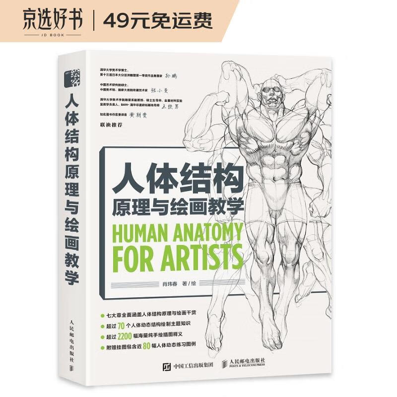 人体结构原理与绘画教学(绘客出品)怎么看?