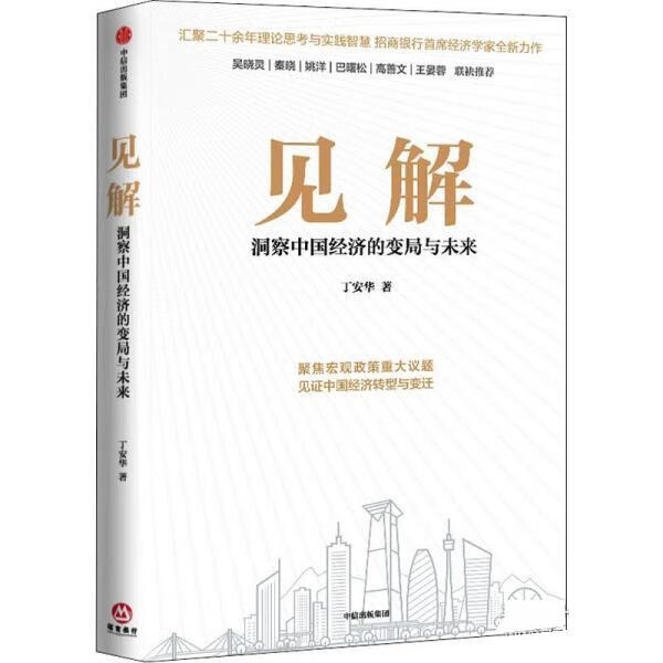 见解 丁安华 中信出版社