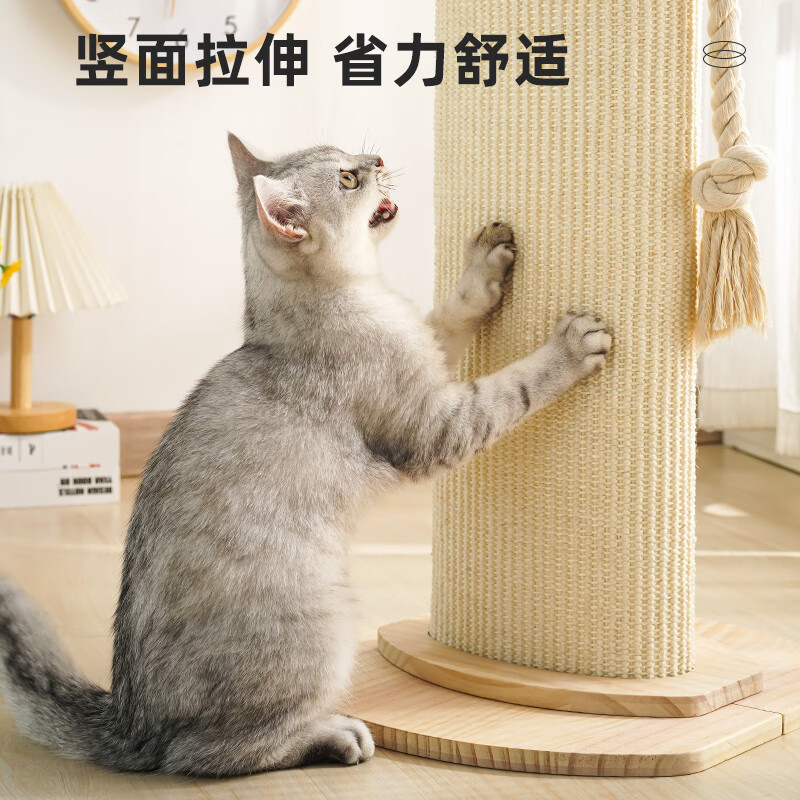 梵都宠舍猫抓板58cm小爬架实木跳台猫玩具剑麻垫猫抓柱猫爬架