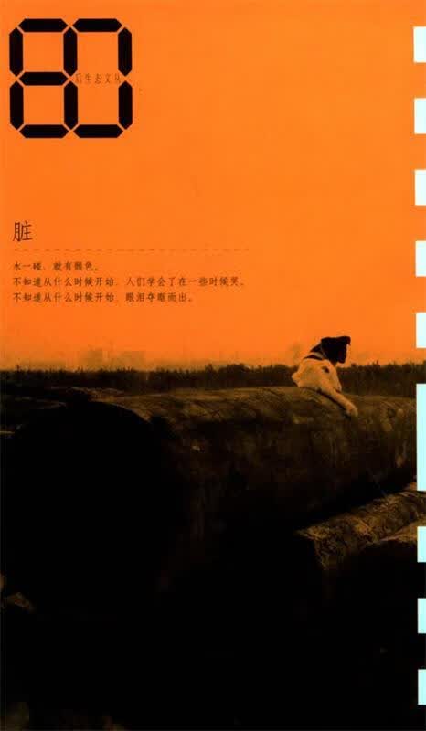 脏 80后生态