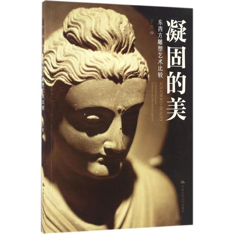凝固的美 丁方 9787300234335【正版图书】