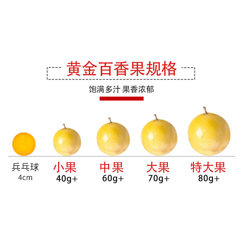 京鲜生海南钦蜜9号黄金百香果 5斤单果40-60g小果 生鲜水果 源头直发