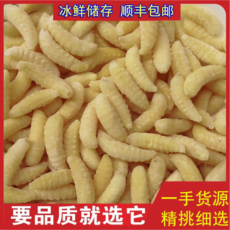 野生活体马蜂蛹雄蜂蛹500g虎头蜂蜂蛹黄蜂蛹泡酒新鲜速冻蜂蛹幼虫 2级