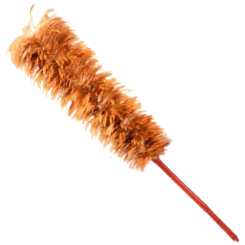 ���ڲ�������������ë���Ӳ���ë�������漦ëɨ��֩�����������