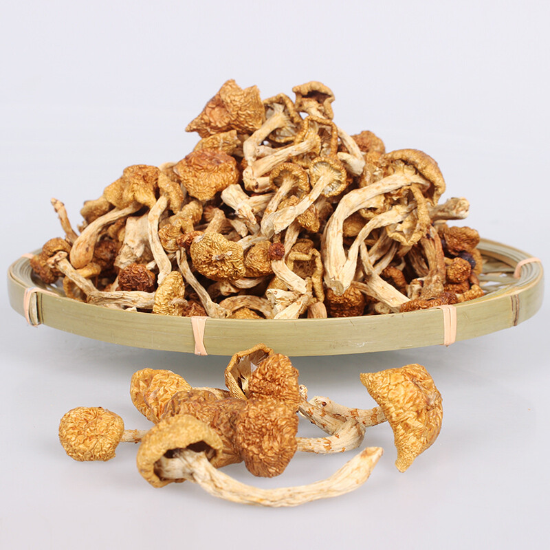 东北大兴安岭滑子菇干货小黄磨滑菇香菇小鸡炖蘑菇500克