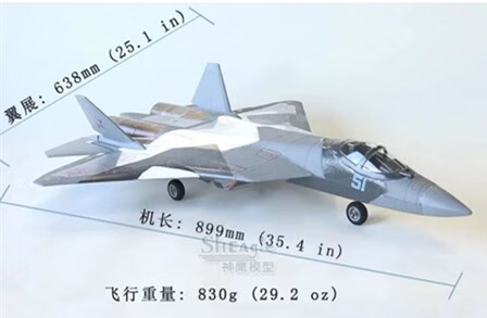 天智星T50电动遥控飞机 双50MM涵道航模飞机 固定翼模型 双发战斗机 军灰色 空机