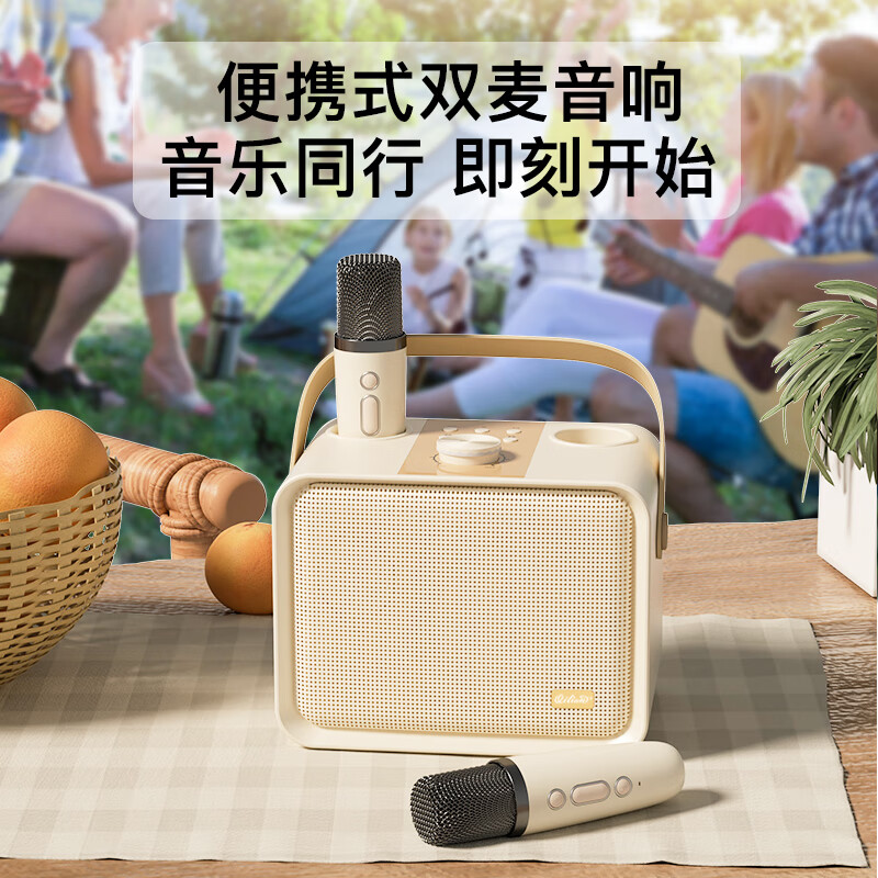 奇联蓝牙音响家庭ktv音响套装家用户外K歌卡拉OK一体机电视手机唱歌设备全民K歌点歌话筒麦克风声卡 素心沙韵