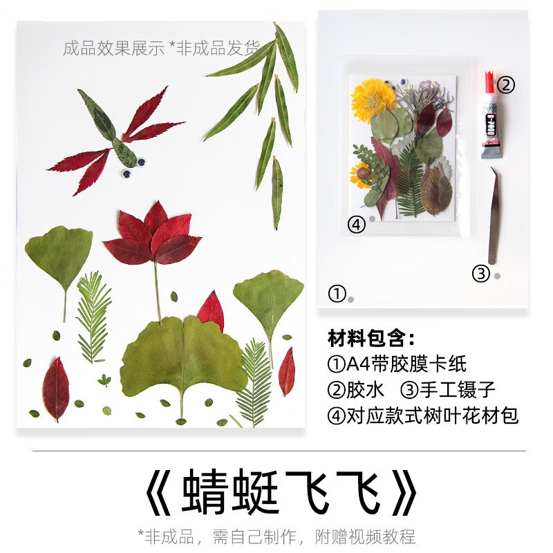 制作树叶画创意干树叶秋天真树叶手工diy材料包植物标本作品 蜻蜓飞飞