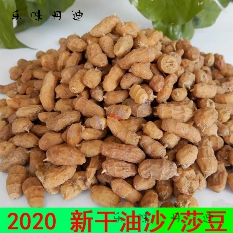 乐佳萱油沙豆油莎豆种子带皮虎坚果圆形 长粒年种植晒干可做种子 半干