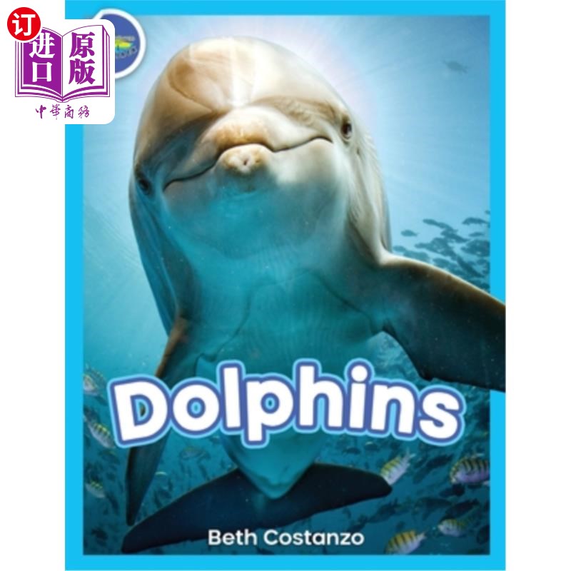 海外直订dolphins! 海豚!