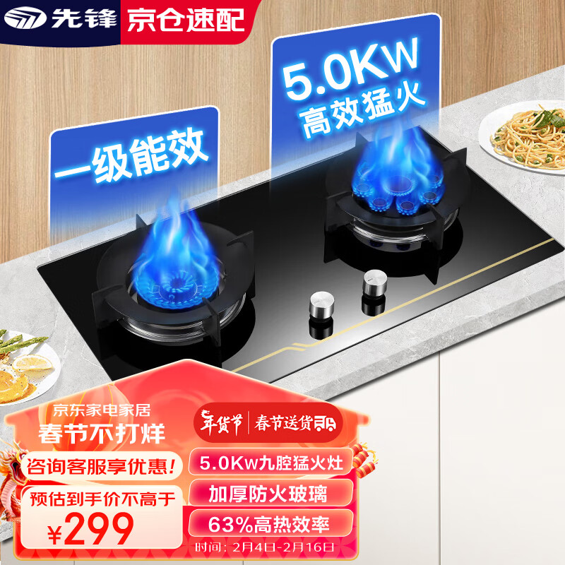 先锋（SINGFUN）燃气灶5.0kW大火力 玻璃九头鸳鸯家用嵌入式台式两用双灶 燃气灶具XF-R02（液化气）