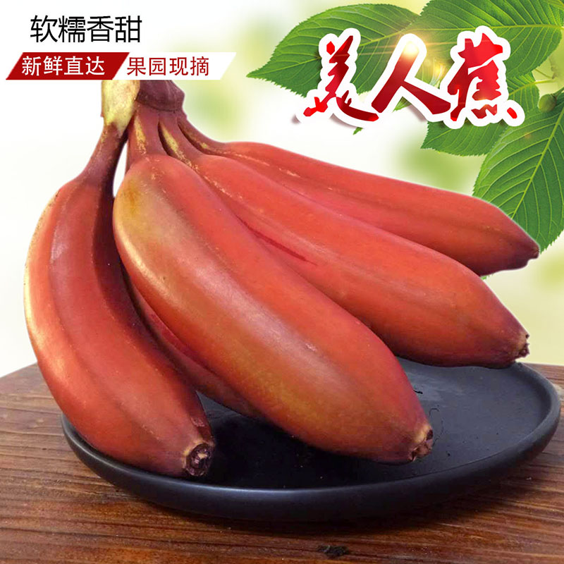 十八姑娘 福建土楼红香蕉新鲜红皮香蕉美人蕉 漳州特产新鲜水果 5斤装
