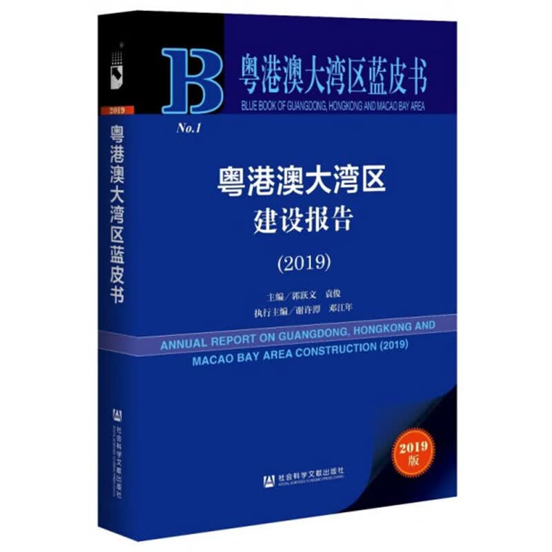 粤港澳大湾区建设报告（2019）/粤港澳大湾区蓝皮书