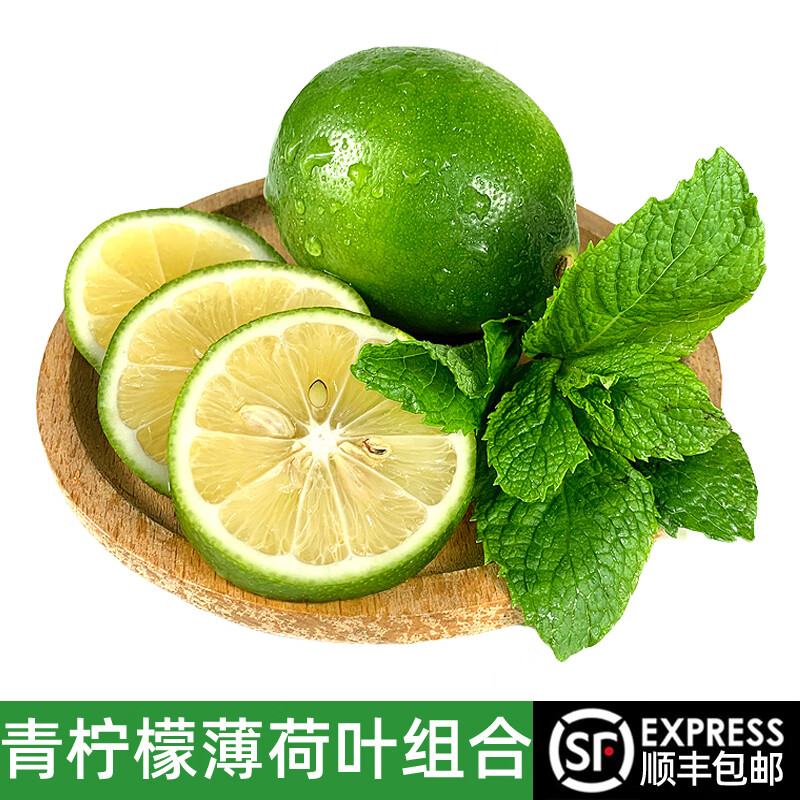 绿食者 新鲜青柠檬薄荷叶组合共1斤 食用薄荷调酒茶饮奶茶店用香料