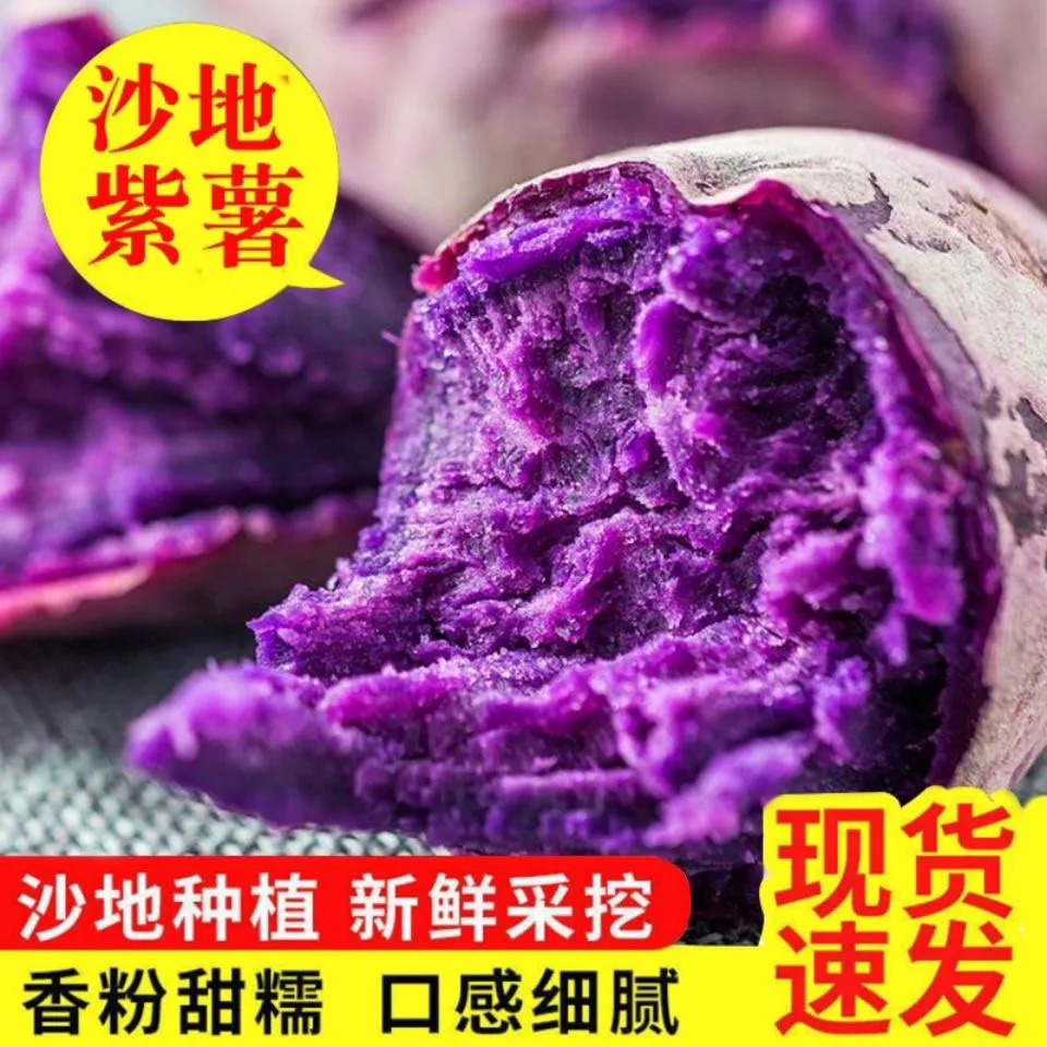 主食  沙地紫红薯紫地瓜批发价紫薯整箱 紫薯2斤中果 (单果100