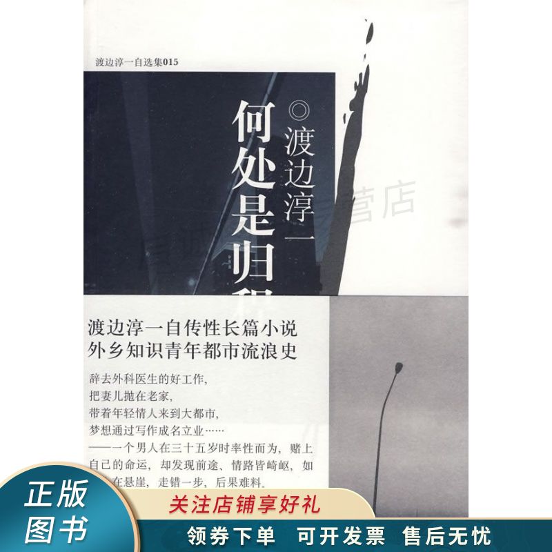 何处是归程 【稀缺图书,放心购买】