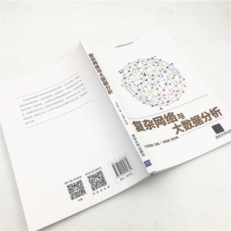 复杂网络与大数据分析/大数据系列丛书详情图