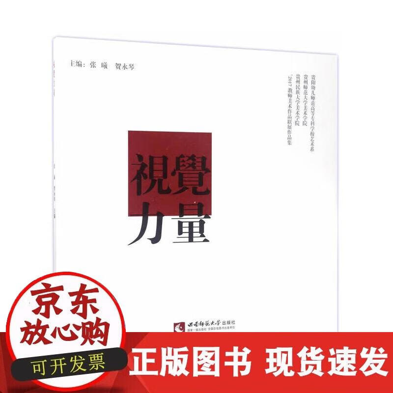 【正版现货】视觉力量