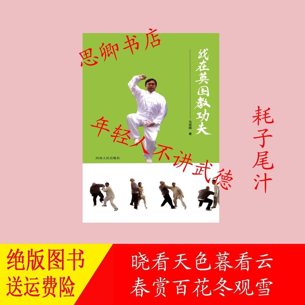 我在英国教功夫 马保国 著 河南人民社