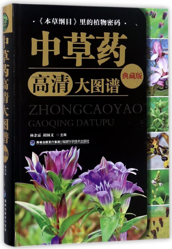 中草药高清大图谱(典藏版)(精)