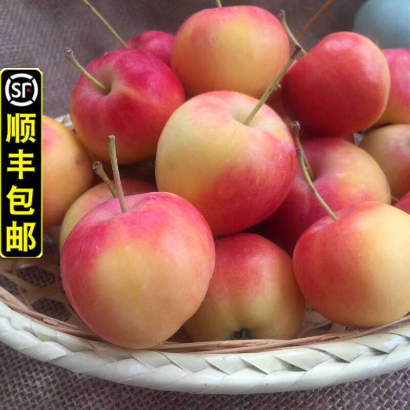物鲜仙子东北沙果海棠果特产黄太平新鲜水果现摘现发花红果孕妇水果
