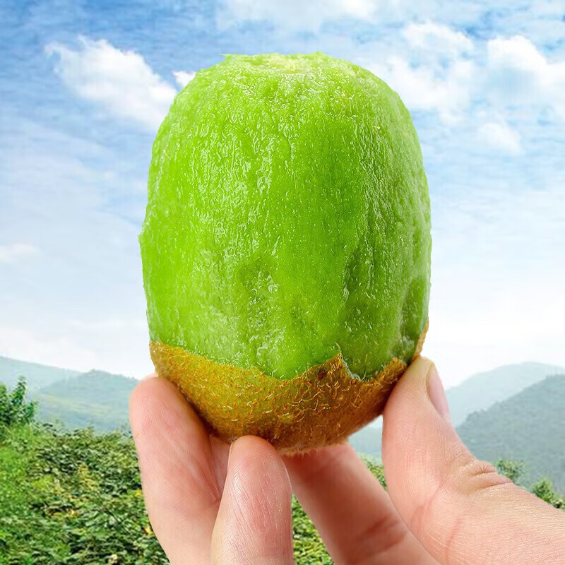 延意心选陕西绿心徐香猕猴桃奇异果 新鲜生鲜水果 12个60-70g
