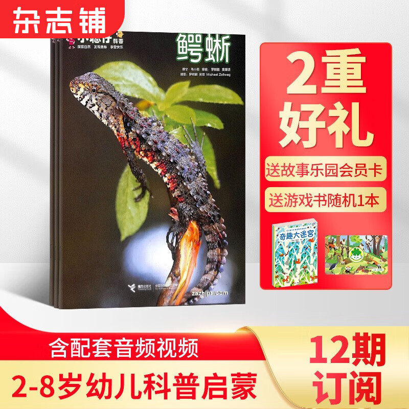 包邮小聪仔自然科普版杂志铺2023年7月起订1年共12期订阅 儿童类2-8岁幼儿科普杂志 少儿阅读期刊杂志 激发学习兴趣增长科普知识 少儿科普期刊 专家精华之作 开发宝宝智力 杂志铺