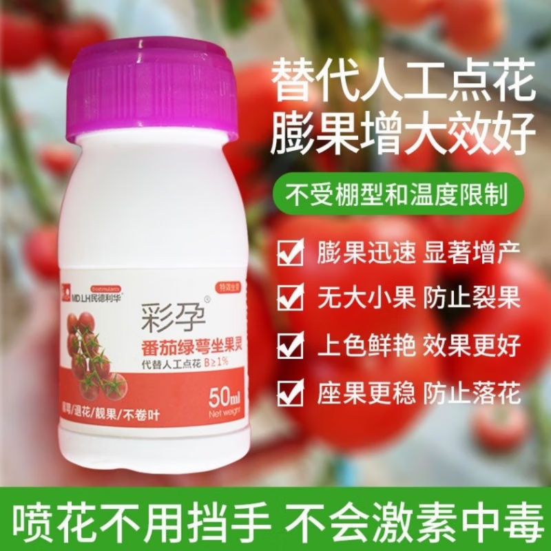 彩孕西红柿番茄圣女果专用喷花药代替人工点花彩孕绿萼坐果灵 一瓶50