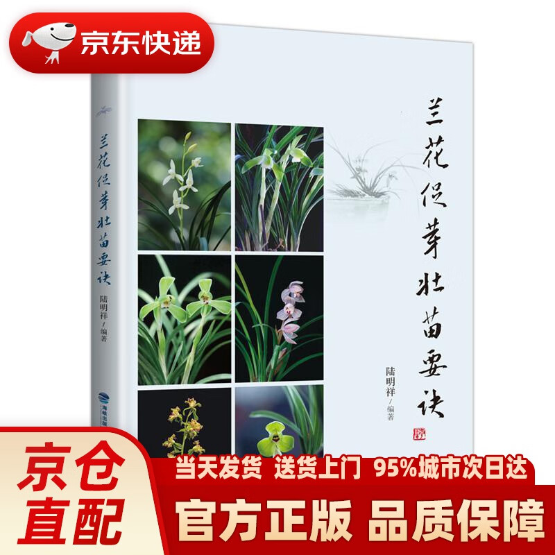 【新华正版图书】兰花促芽壮苗要诀 陆明祥 福建科学技术出版社 9787533560072