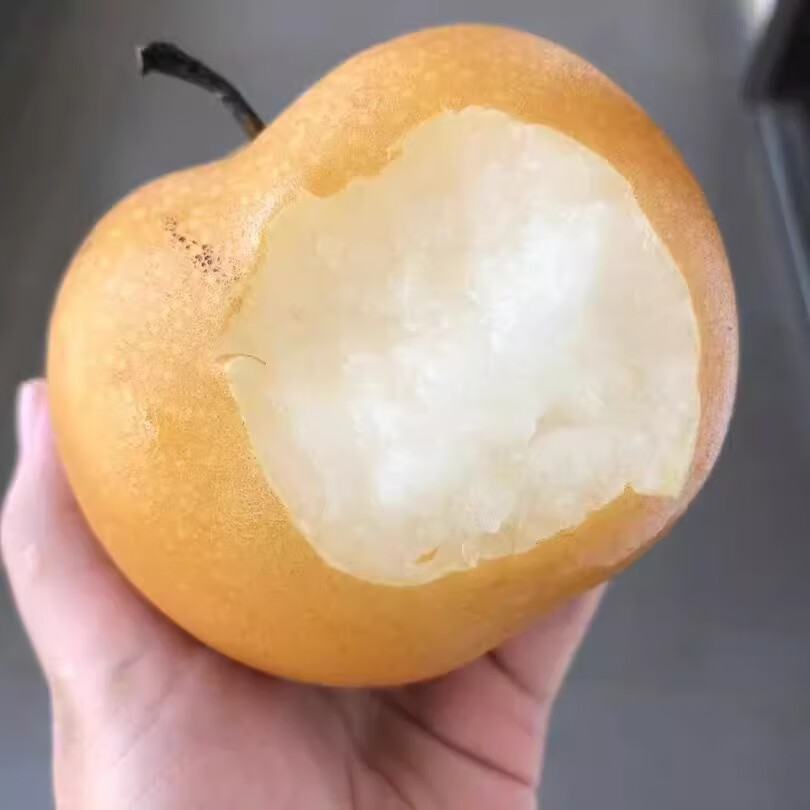 鲜宝道秋月梨应季水果脆甜梨当季雪梨 5斤单果300+净重4.5斤