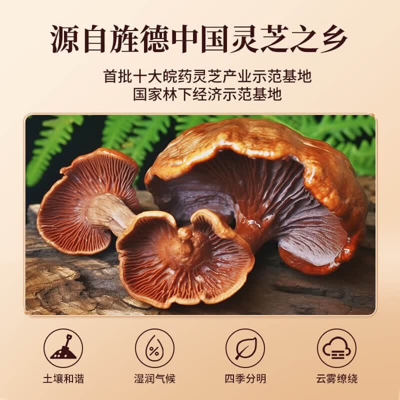 李良济破壁灵芝孢子粉有机种植孢子油胶囊调节免疫中老年滋补术后营养品 【一盒装】1g*30袋(到手50g)-25天量