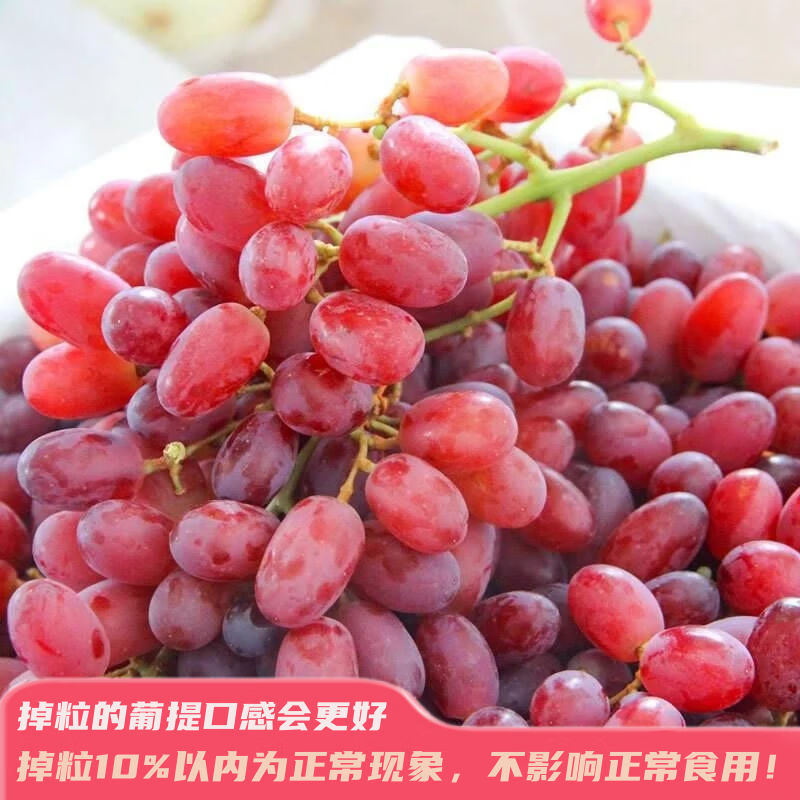 ��Ӫ��ѡ���������Ѻ������ѡ�JD˳��-�ͻ����š�������ժ���ʴ������� 1000g����ѡװ�� 51.04Ԫ