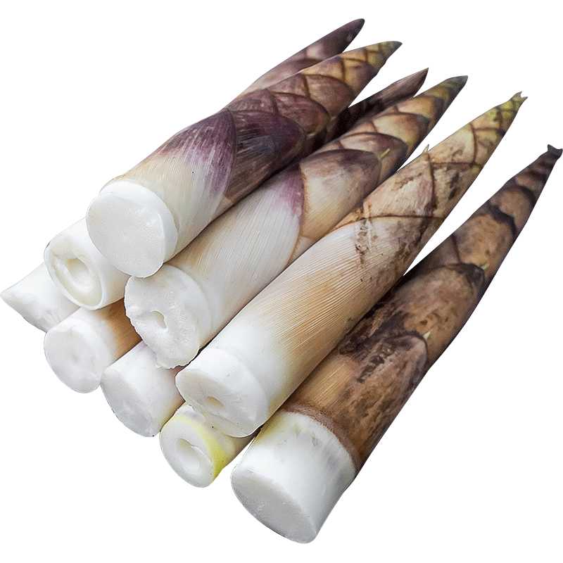 辰实【现货发顺丰】新鲜春笋 临安天目山竹笋 雷笋庆竹笋 甜嫩竹笋 5